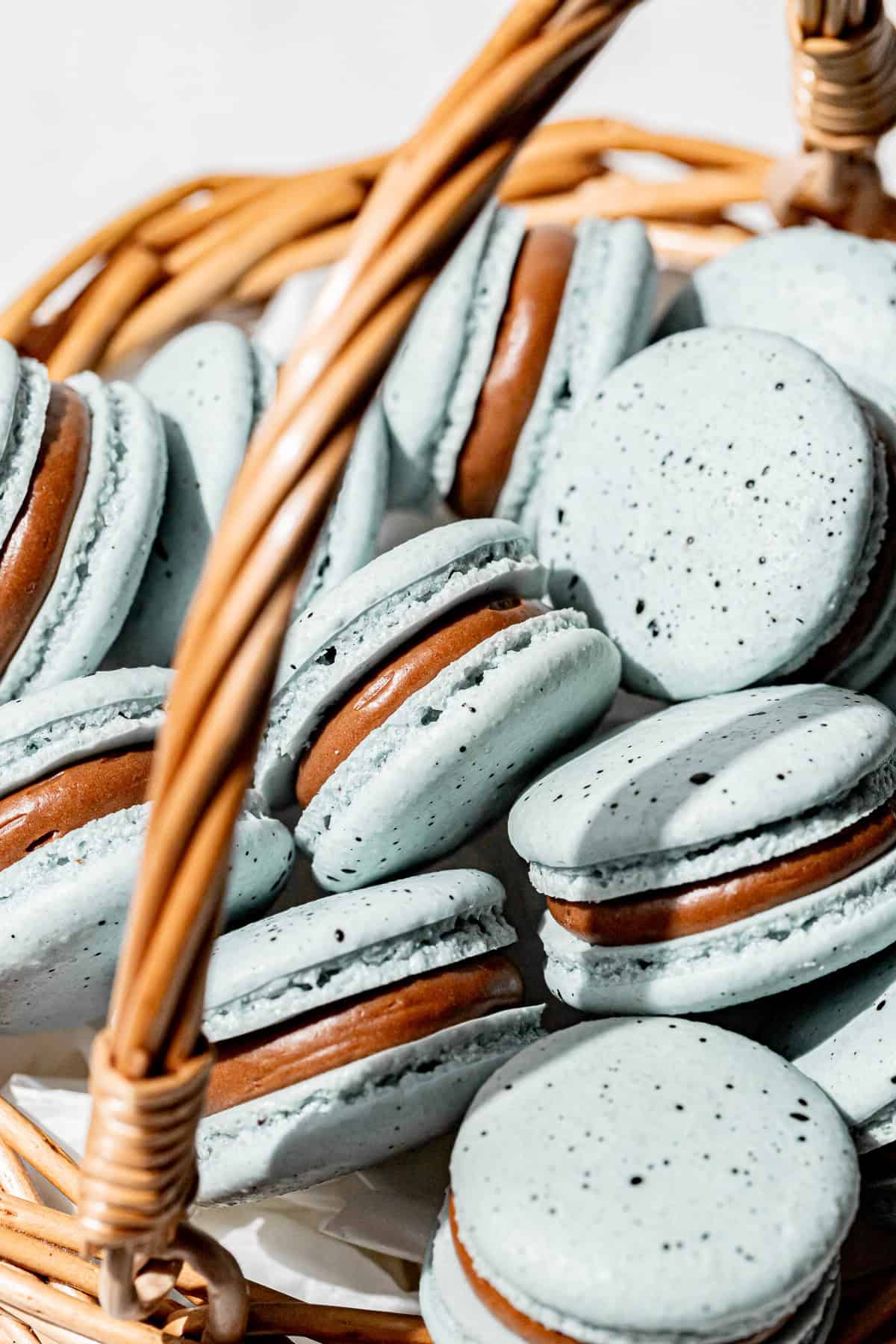 Robin's Egg Macarons in Easter basket.