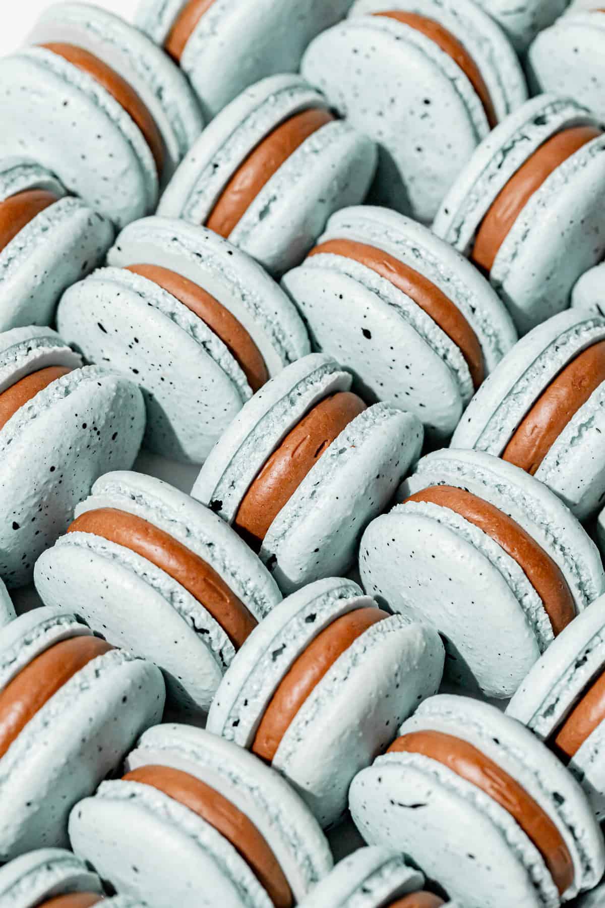 Robin's Egg Macarons.