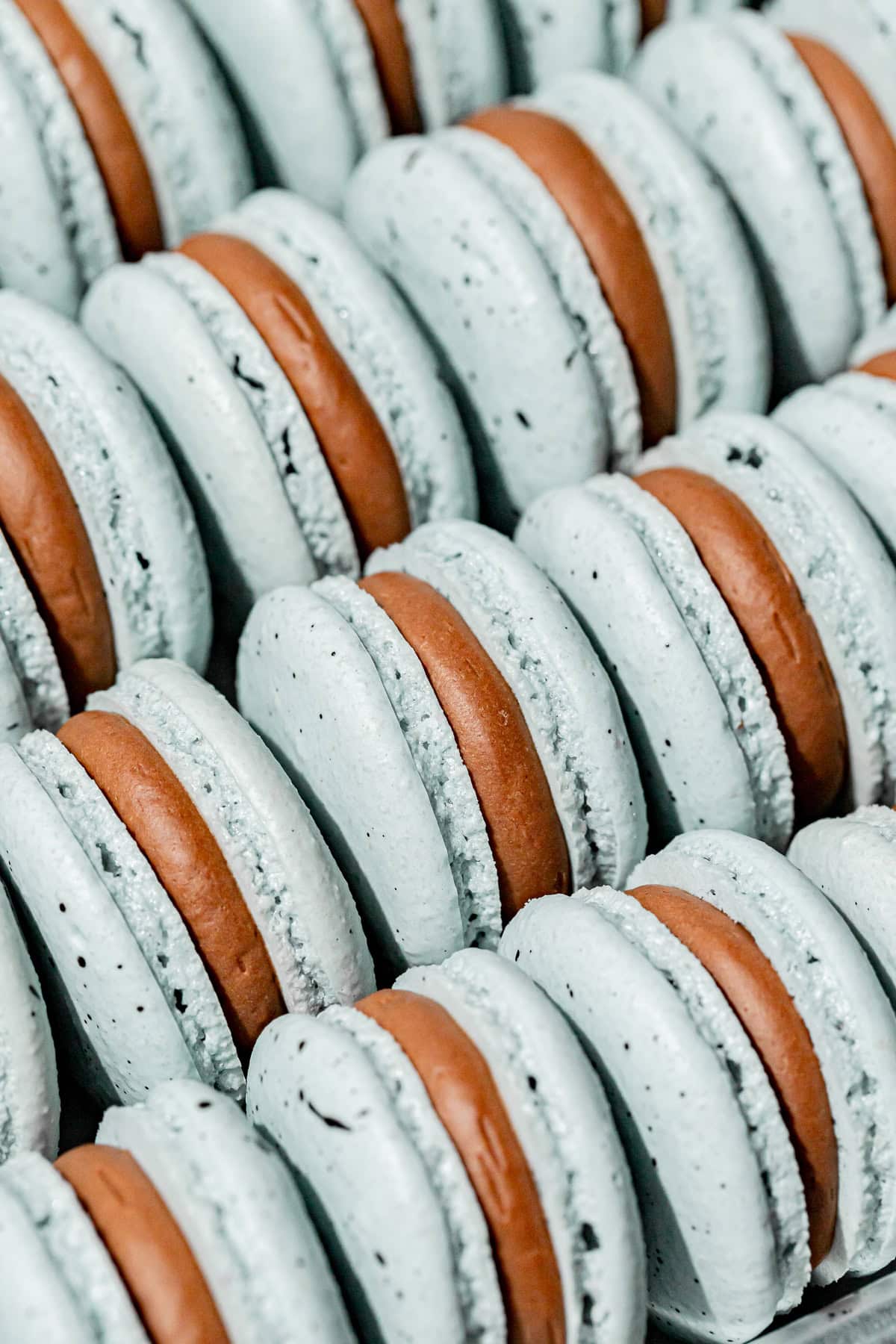 Robin's Egg Macarons lined up. 