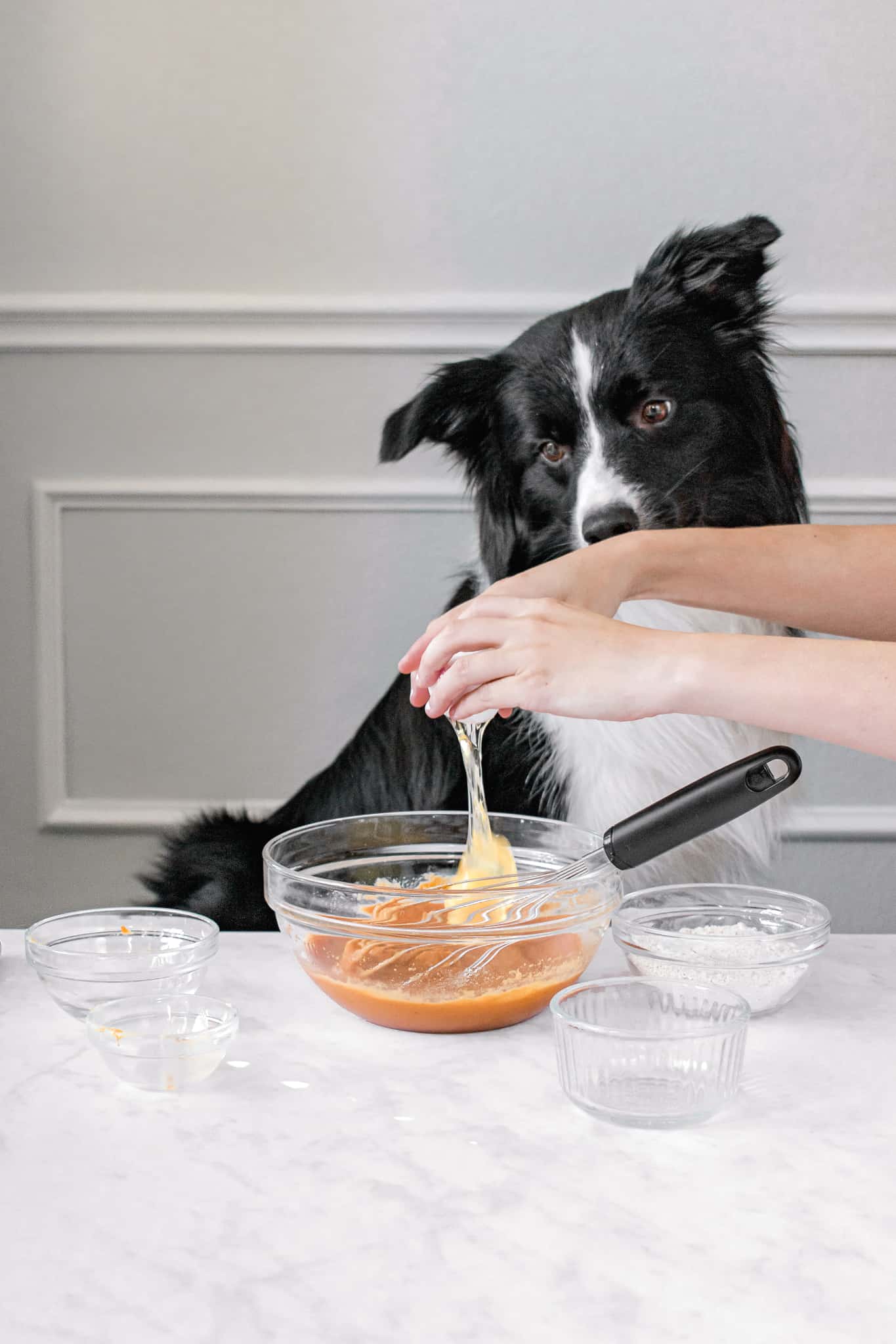 eggs whisked into wet ingredients in a bowl with dog in the background.