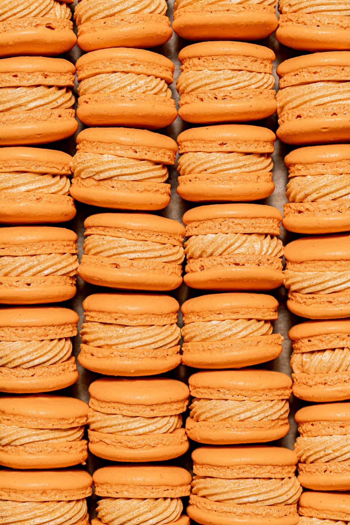 Pumpkin Macarons in rows on baking sheet.