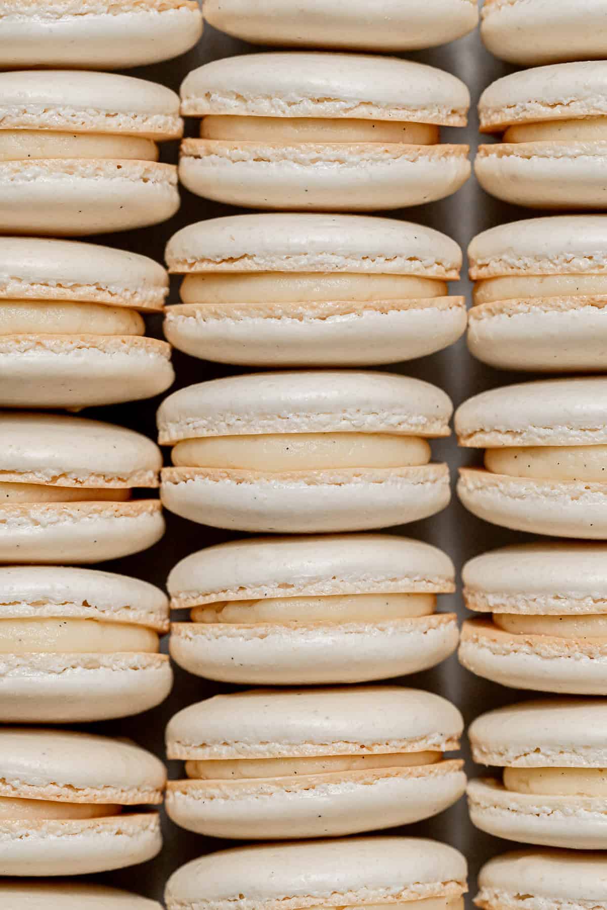 assembled vanilla macarons lined up.