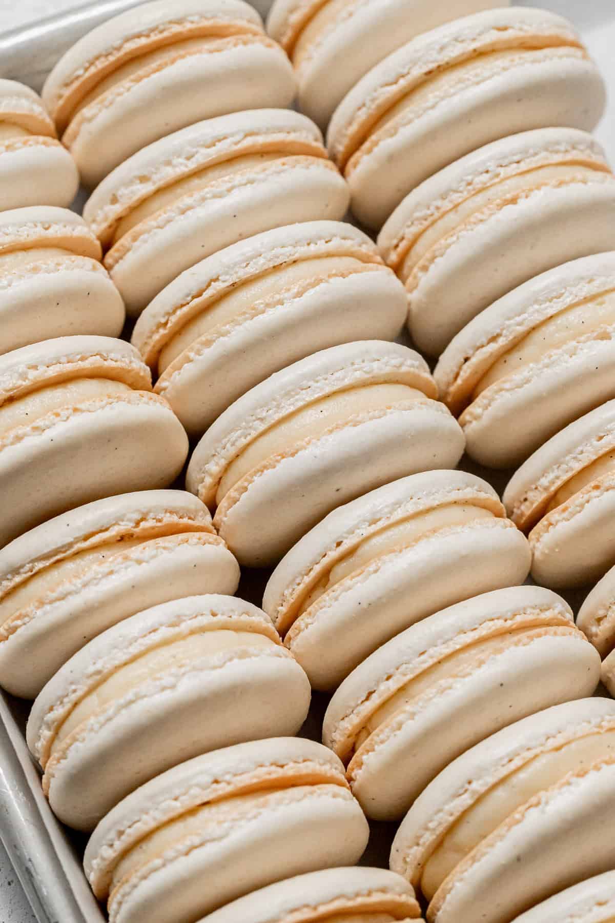 vanilla macarons in three rows.