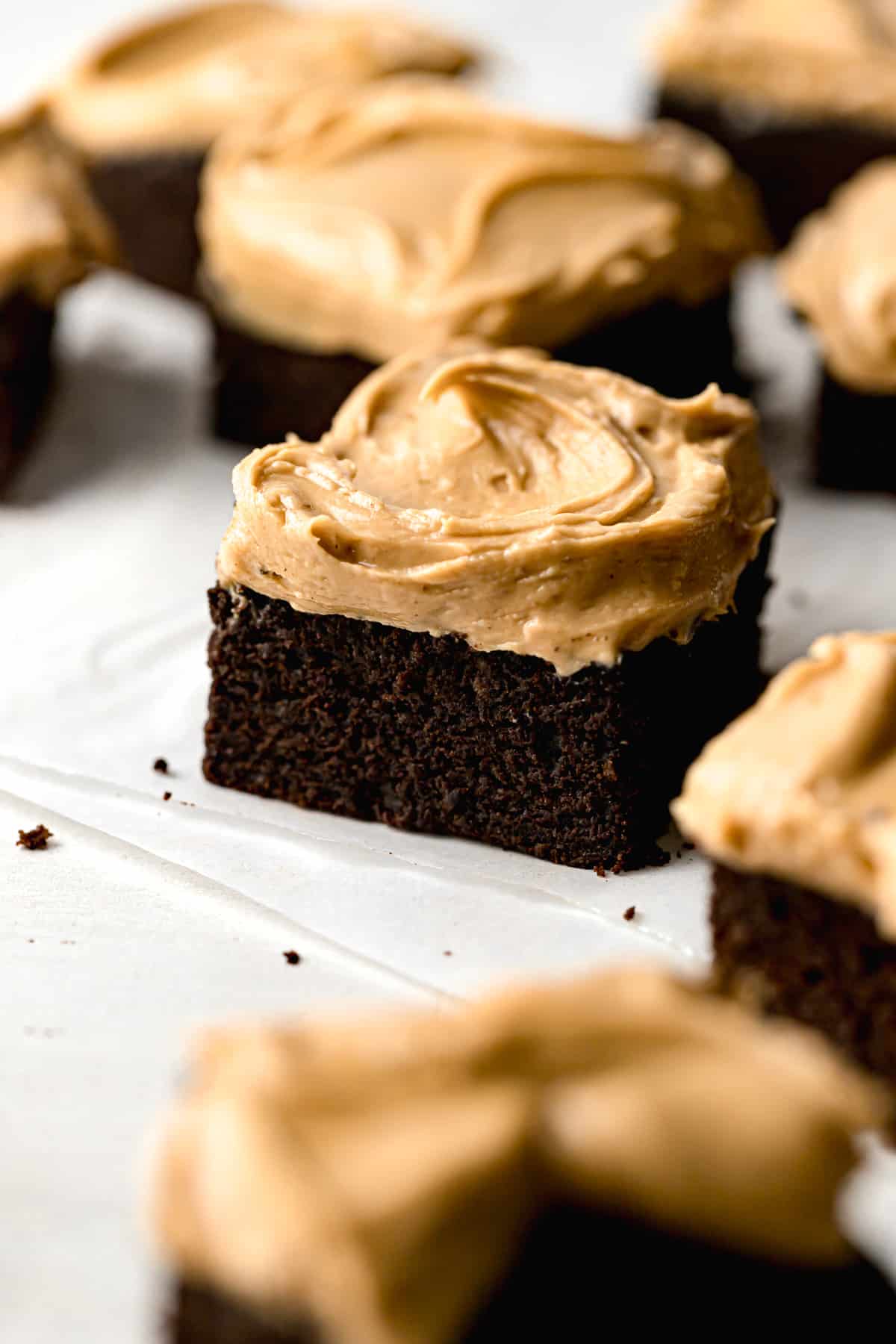 piece of chocolate cake with peanut butter frosting.