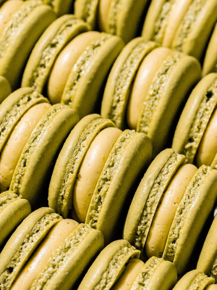 pistachio macarons lined up.