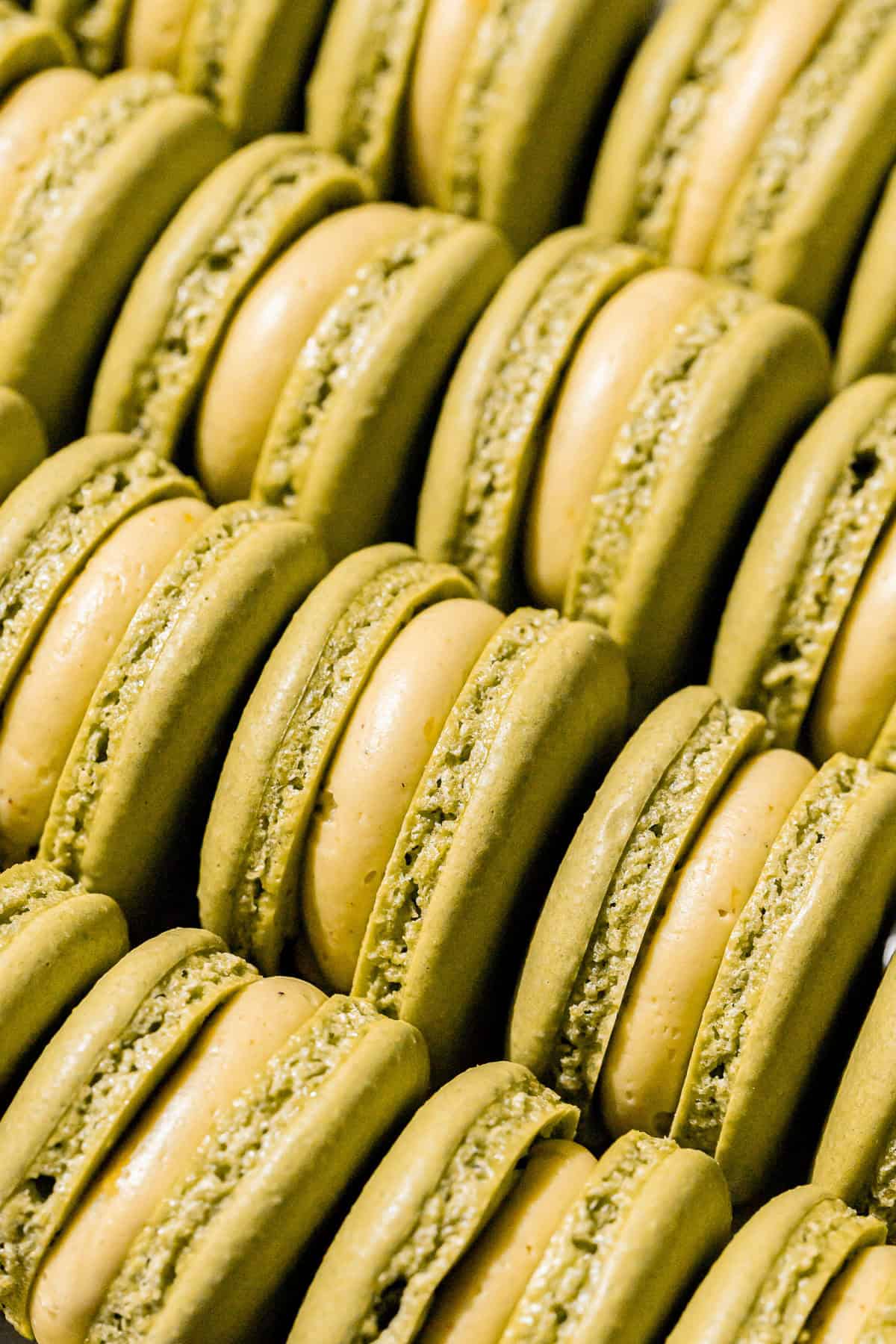 pistachio macarons lined up.