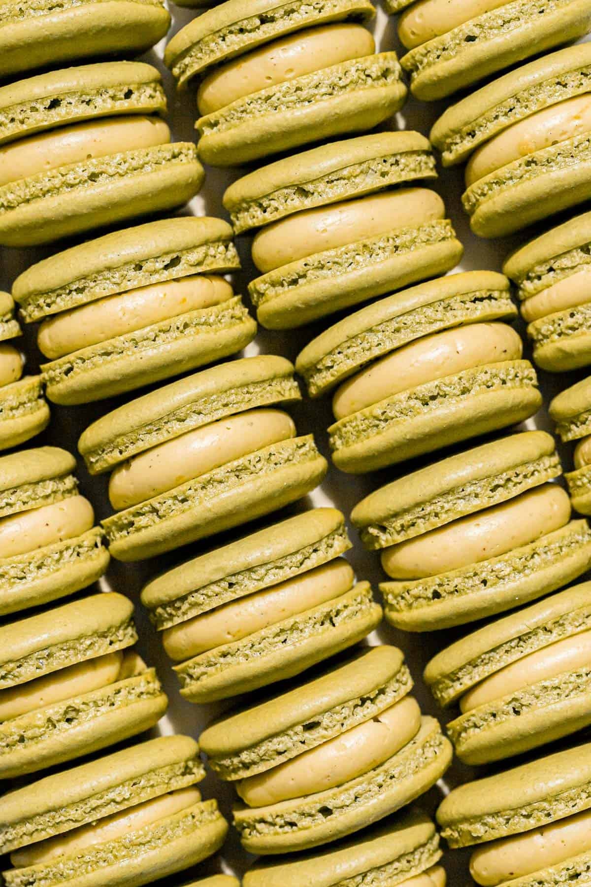 pistachio macarons in four rows.