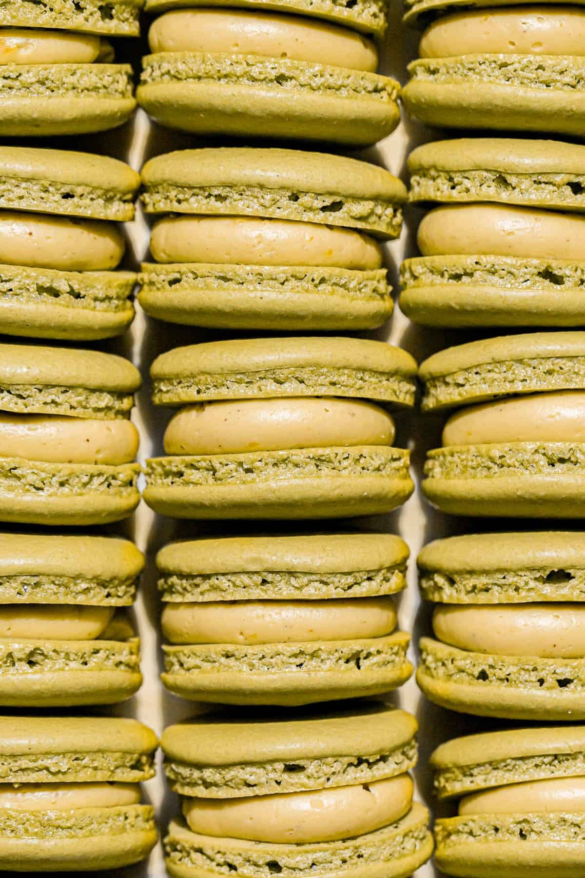 pistachio macarons in three rows.
