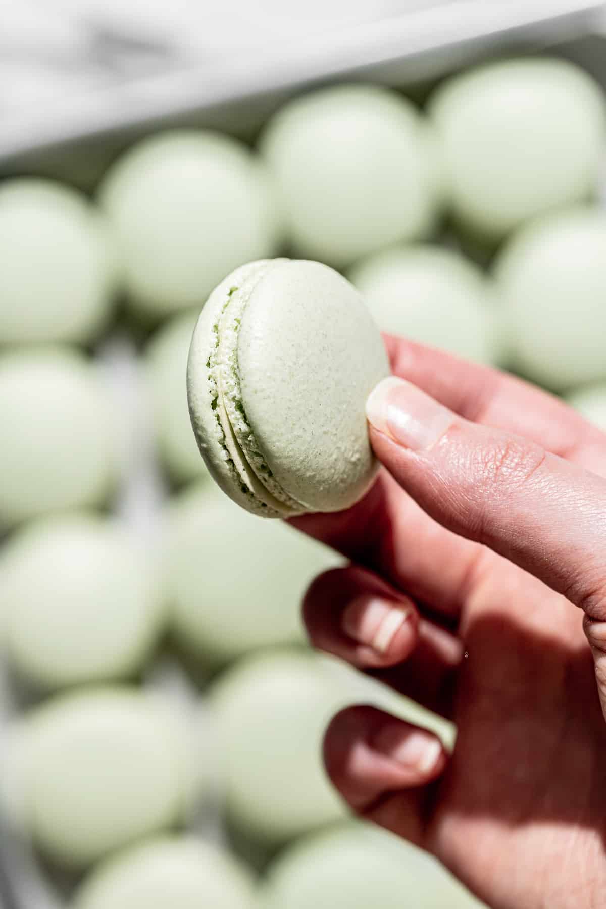 paired macaron shells held in one hand. 