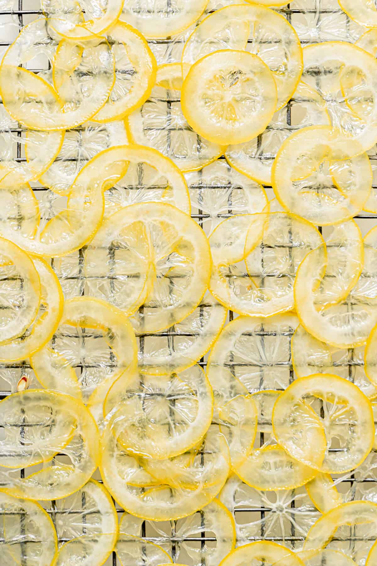 candied lemon slices on wire rack.