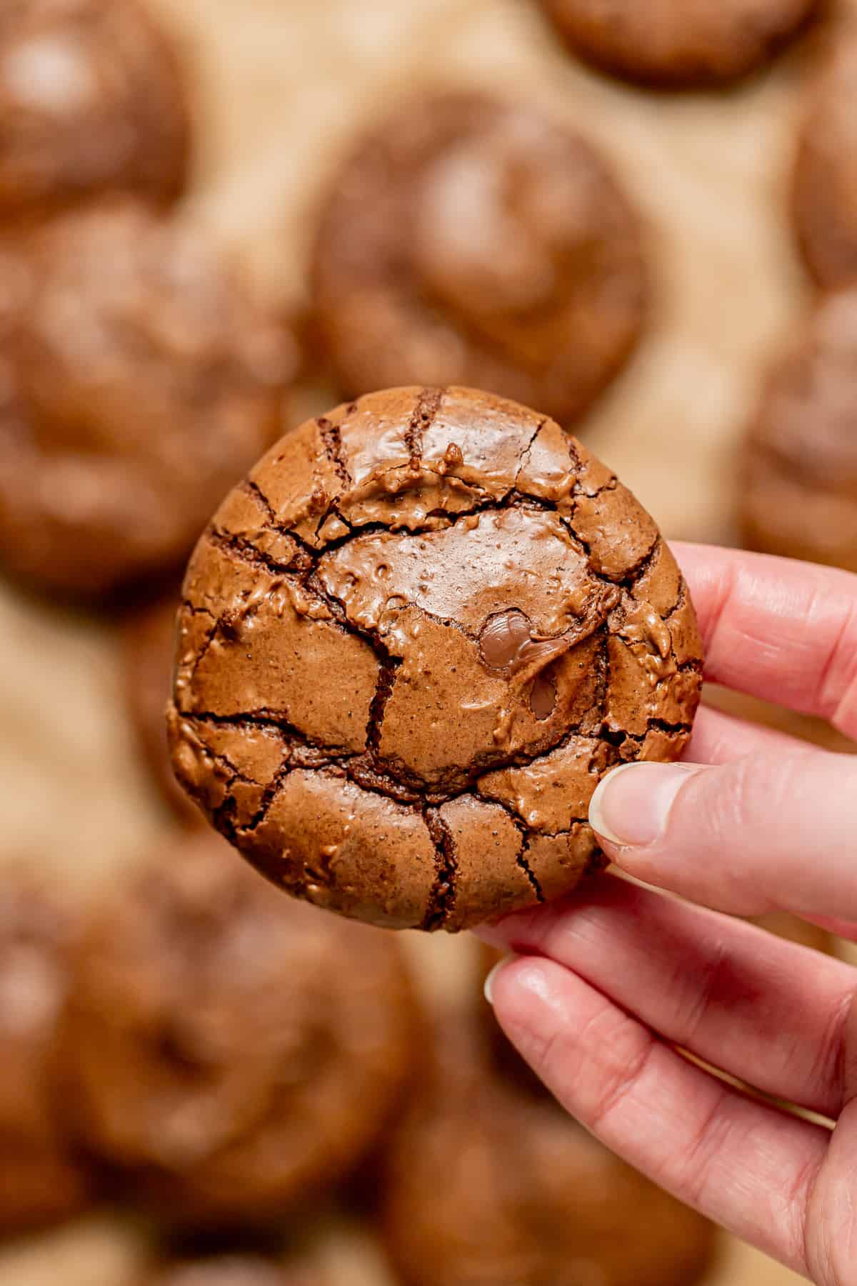 close up of hand holding a chocolate Nutella cookie.