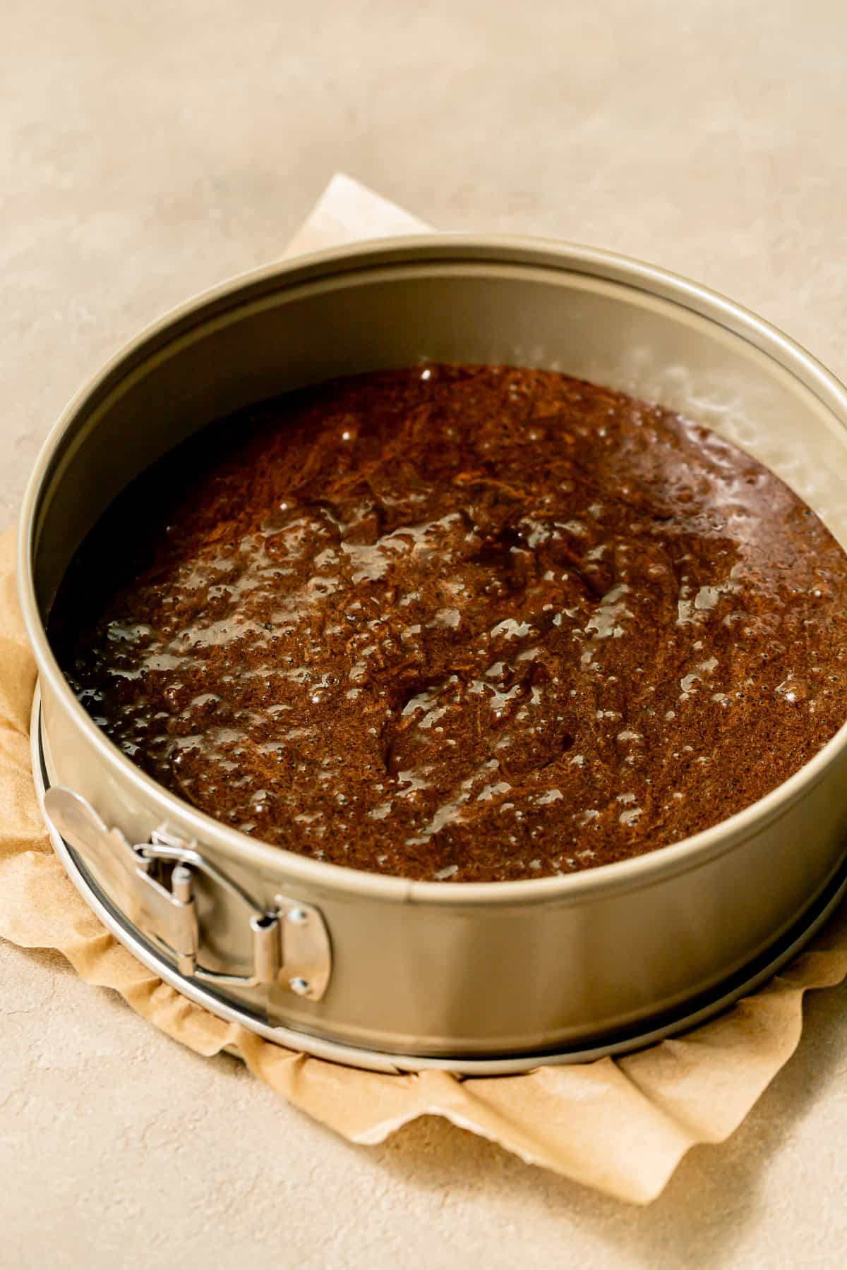 chocolate sponge cake in springform pan.