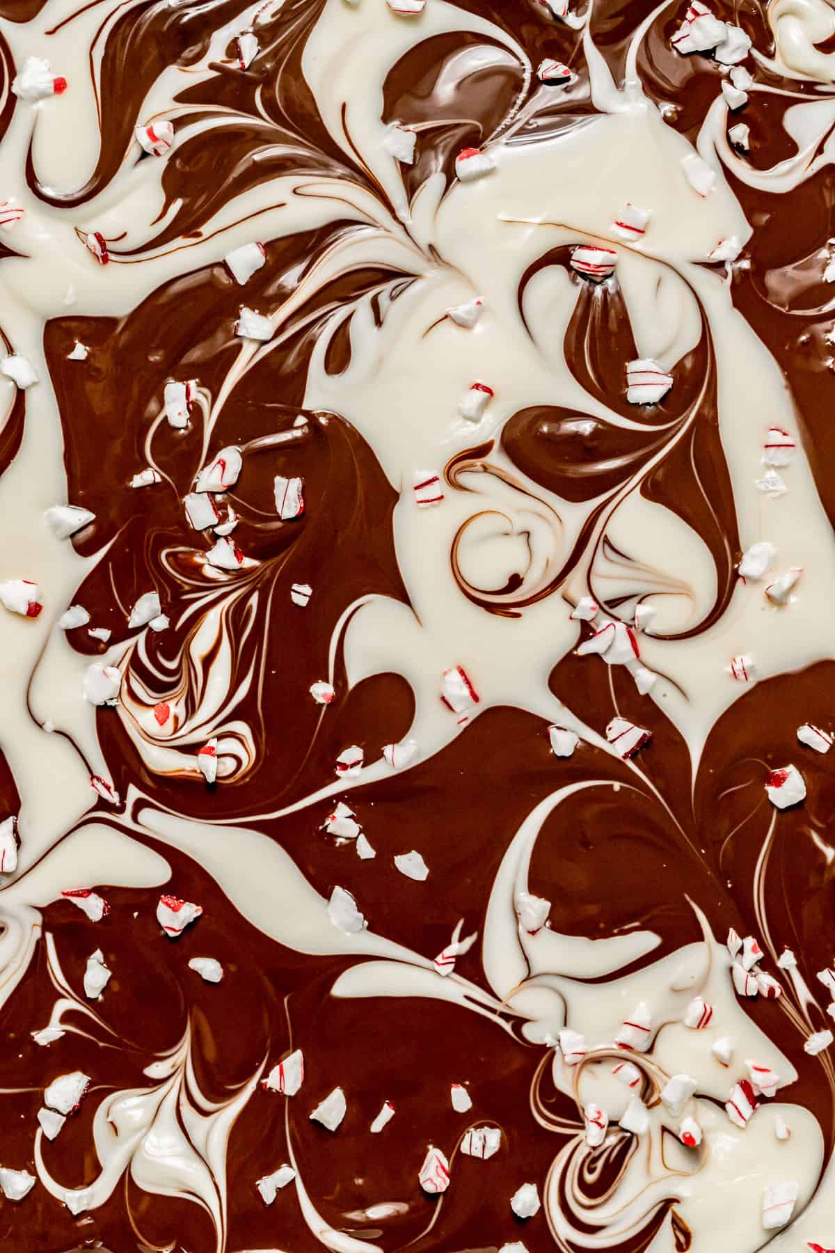 dark and white chocolate swirled on top of brownies.