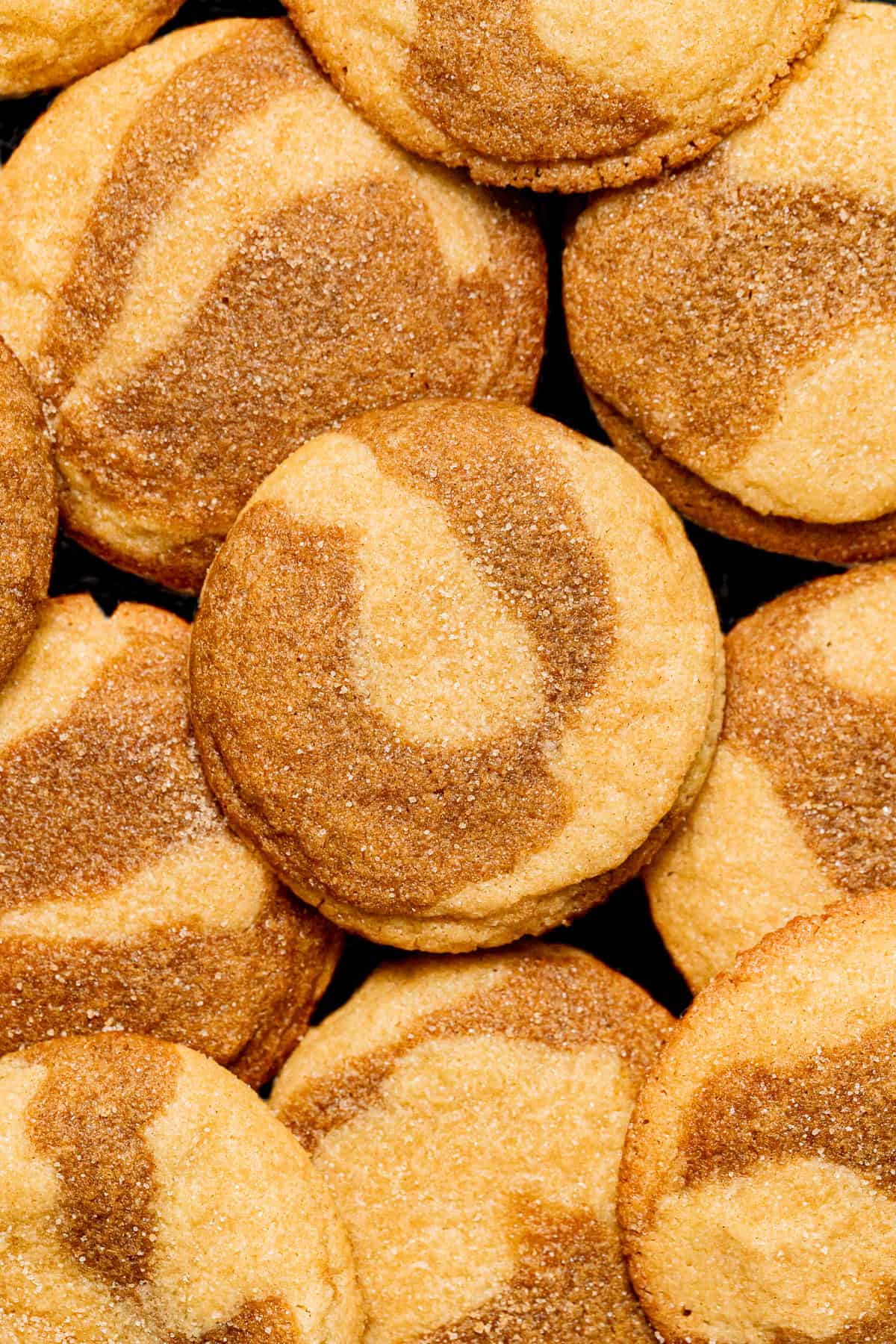 marbled ginger molasses snickerdoodles.