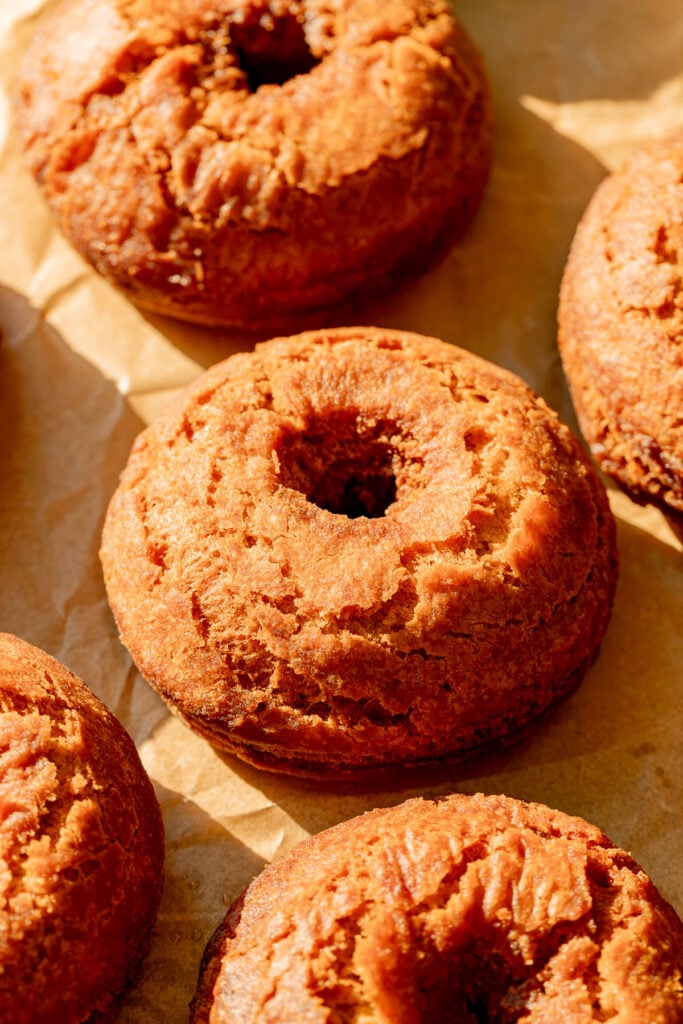fried donuts without glaze.