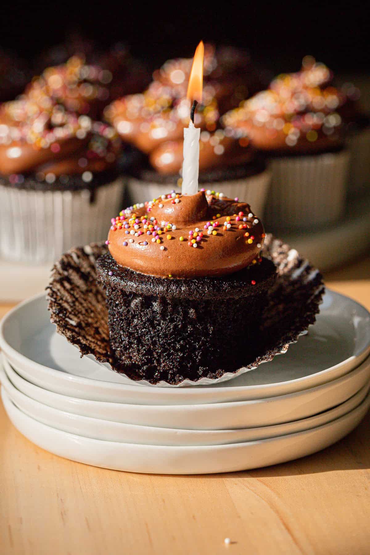 Double Chocolate Birthday Cupcake with candle in it.