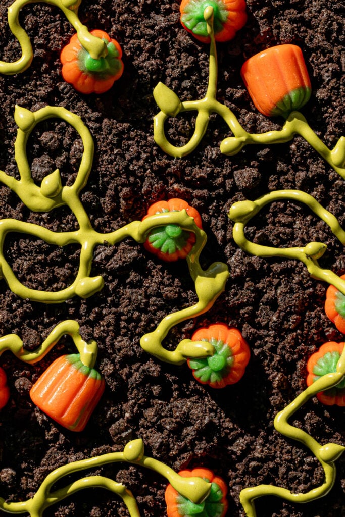 close up of pumpkin patch decoration. 